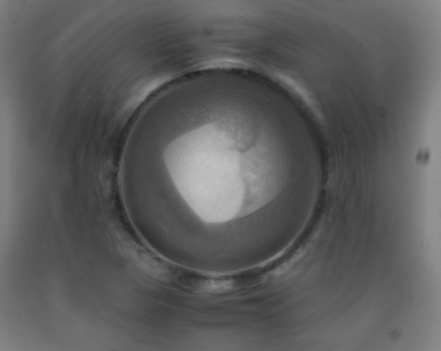 X0000093241313200709261700