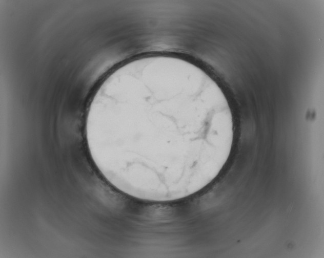X0000093241314200709261700