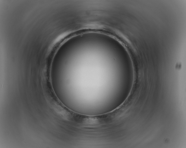 X0000093241315200709261700