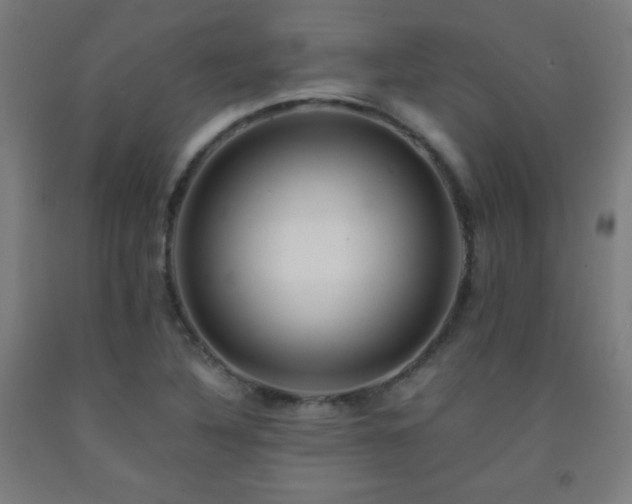 X0000093241316200709261700
