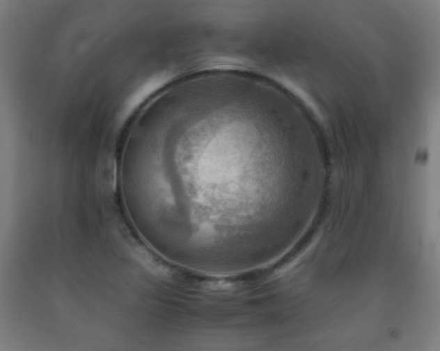 X0000093241317200709261700