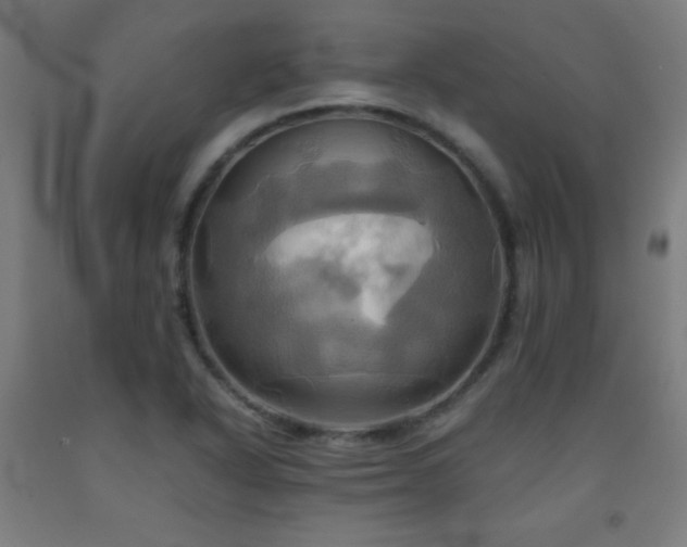 X0000093241318200709261700