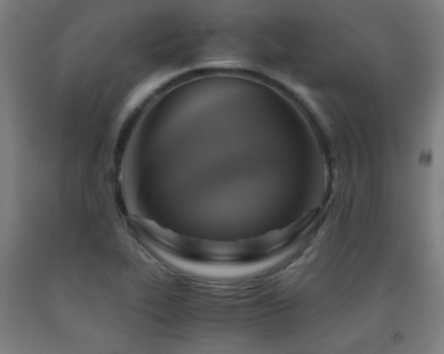 X0000093241319200709261700