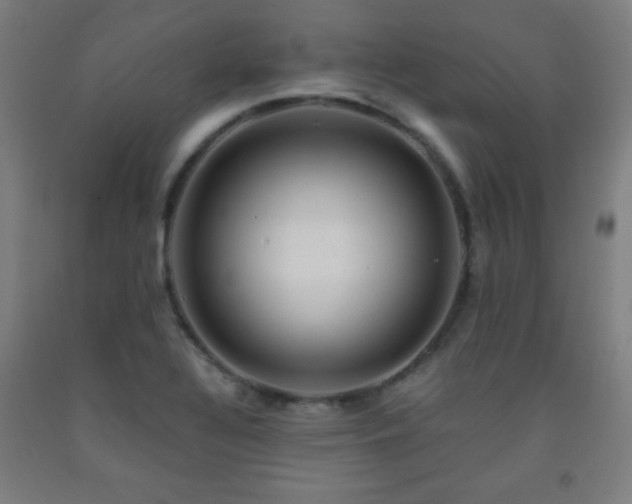 X0000093241320200709261700