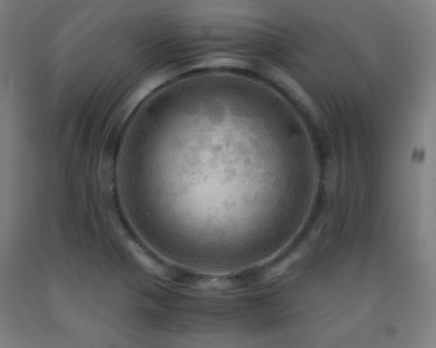X0000093241321200709261700