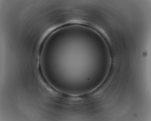 X0000093241323200709261700
