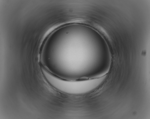 X0000093241324200709261700