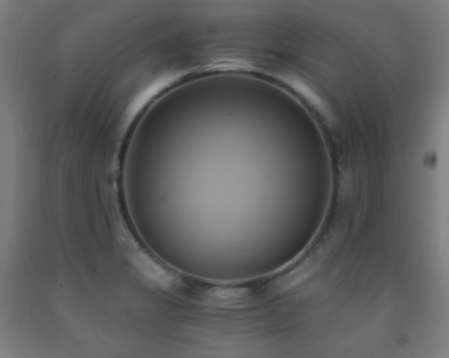 X0000093241325200709261700