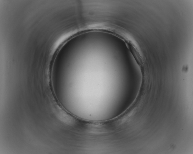 X0000093241328200709261700