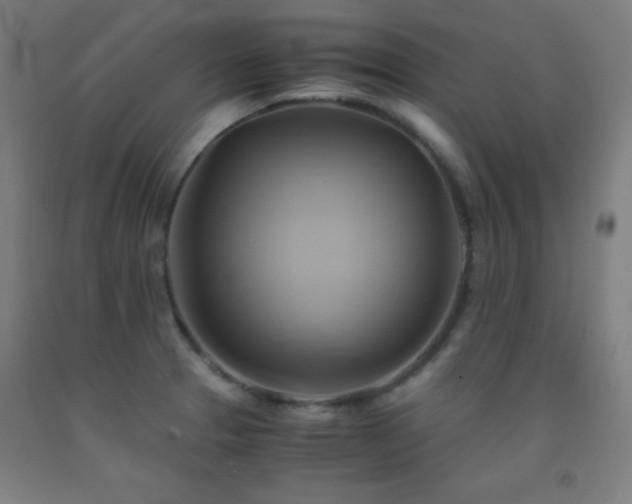 X0000093241329200709261700