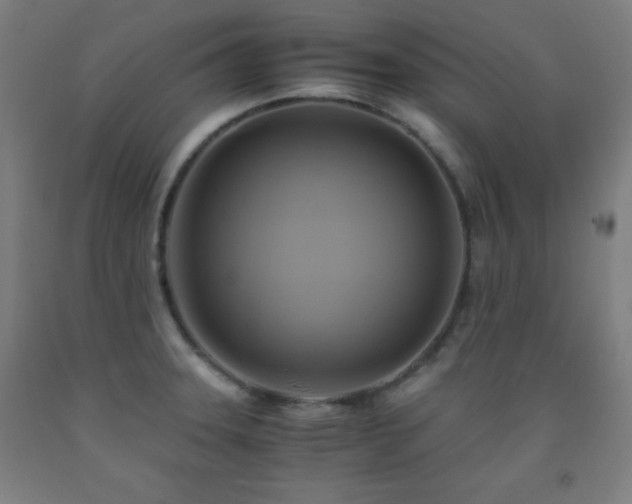 X0000093241331200709261700