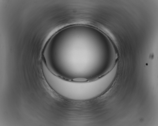 X0000093241332200709261700