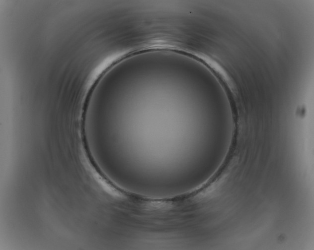 X0000093241333200709261700