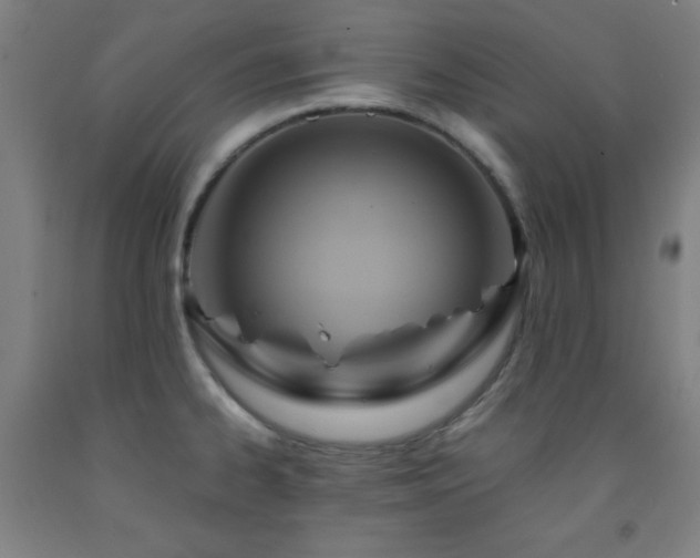 X0000093241334200709261700