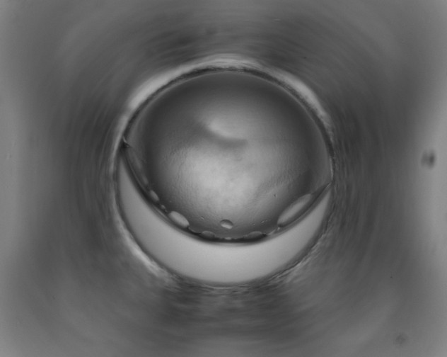 X0000093241335200709261700