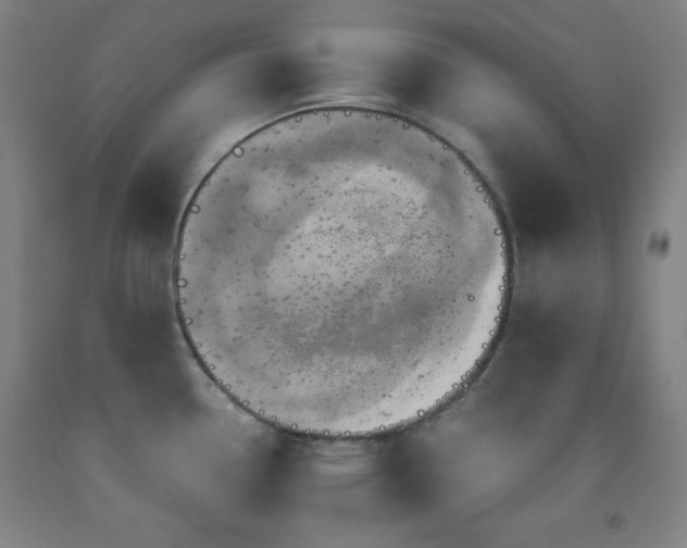 X0000093241338200709261700