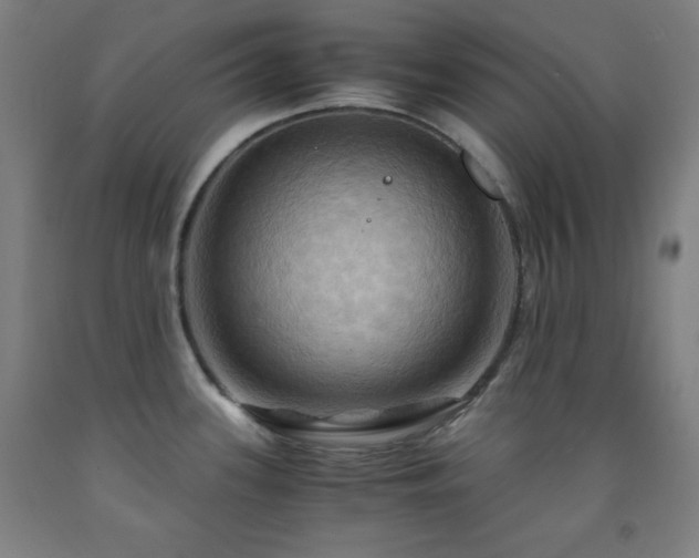 X0000093241339200709261700
