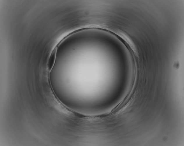 X0000093241340200709261700