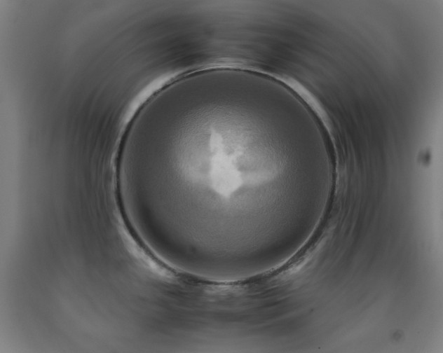 X0000093241341200709261700