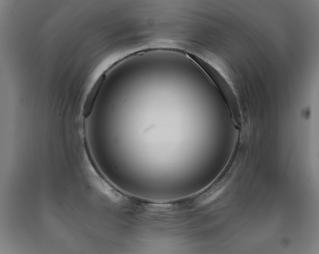 X0000093241342200709261700
