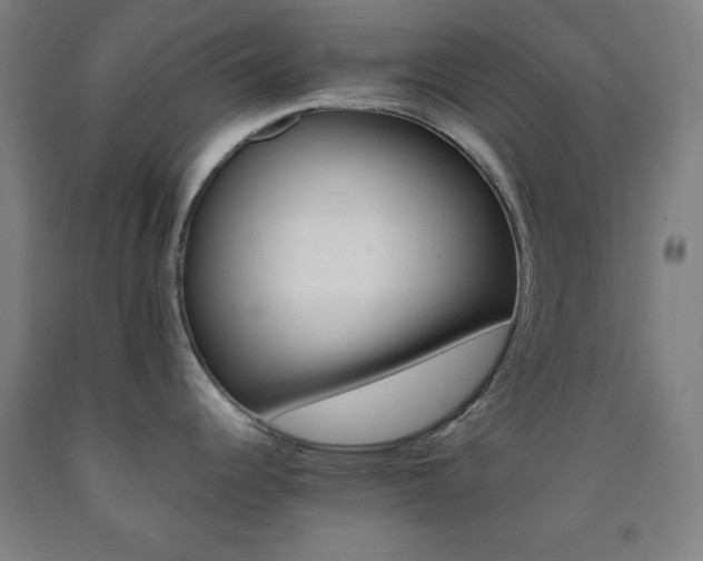 X0000093241344200709261701