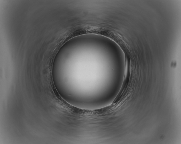 X0000093241345200709261700