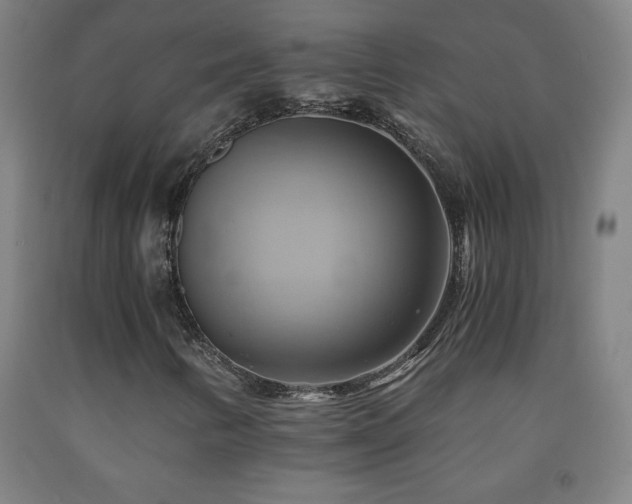 X0000093241346200709261700