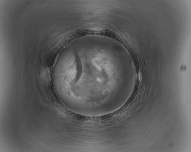 X0000093241347200709261700