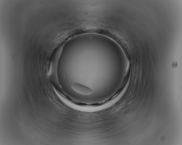 X0000093241348200709261700