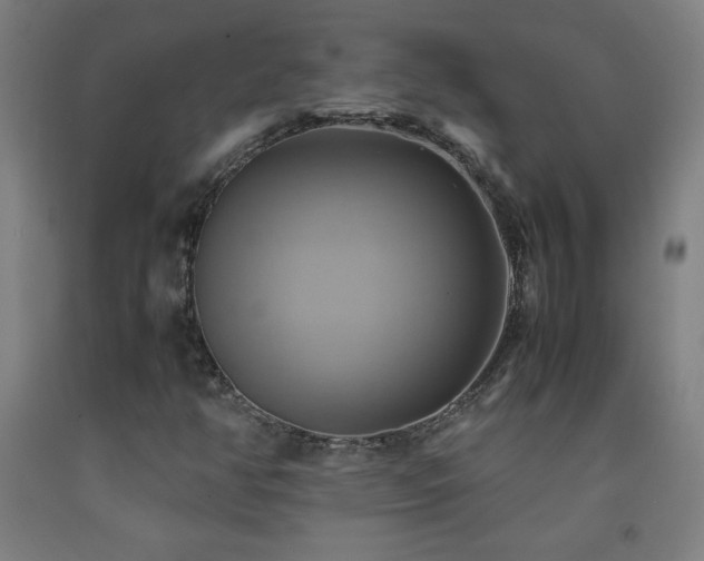 X0000093241350200709261700