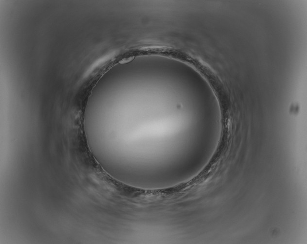 X0000093241351200709261700