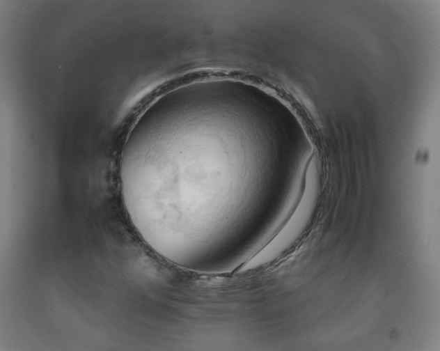 X0000093241352200709261700