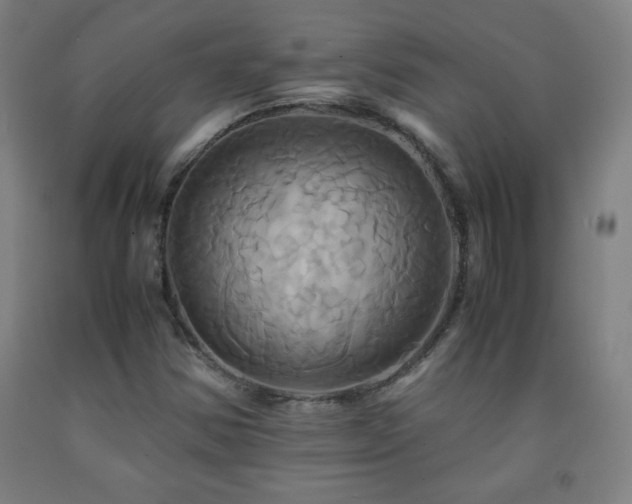 X0000093241354200709261700