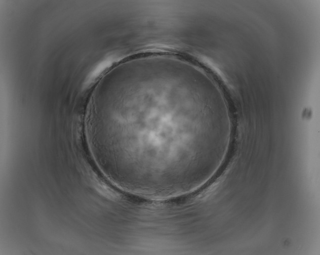 X0000093241355200709261700