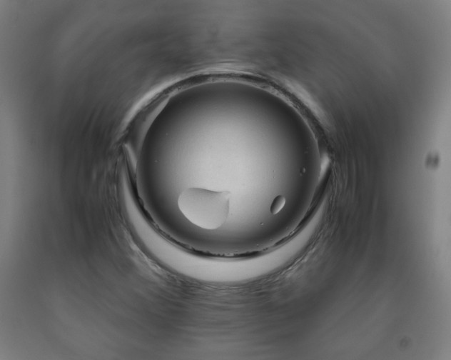 X0000093241356200709261700