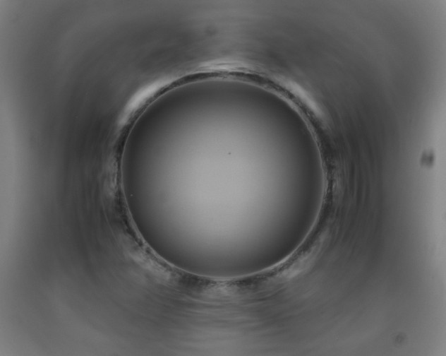 X0000093241358200709261700