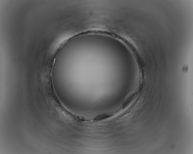 X0000093241359200709261700