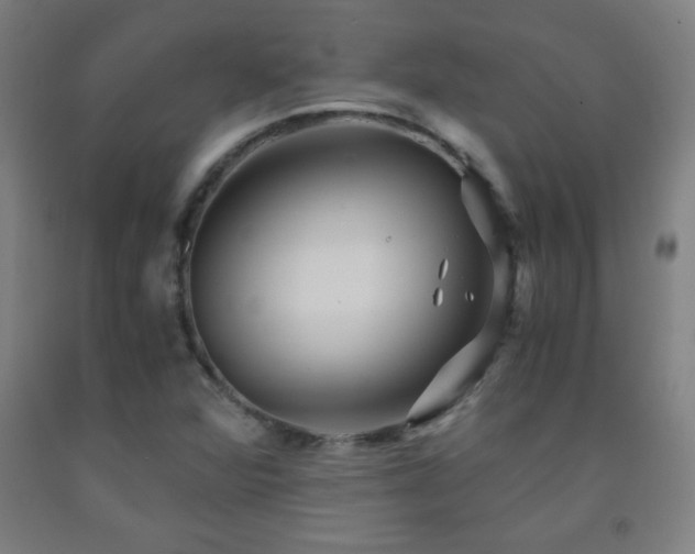 X0000093241360200709261700