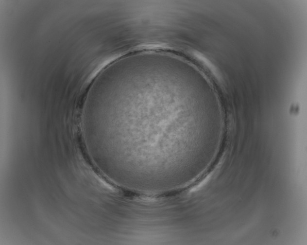 X0000093241361200709261700