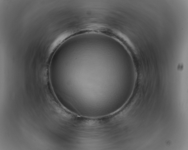 X0000093241362200709261700