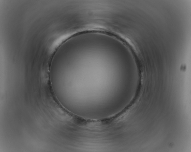 X0000093241363200709261700