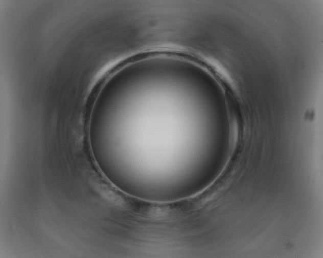X0000093241364200709261700