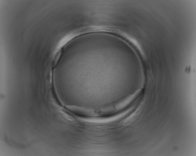 X0000093241365200709261700