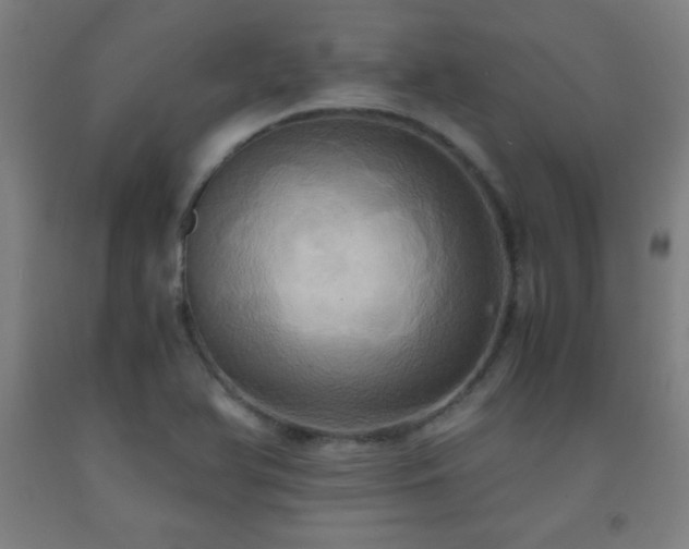 X0000093241366200709261700