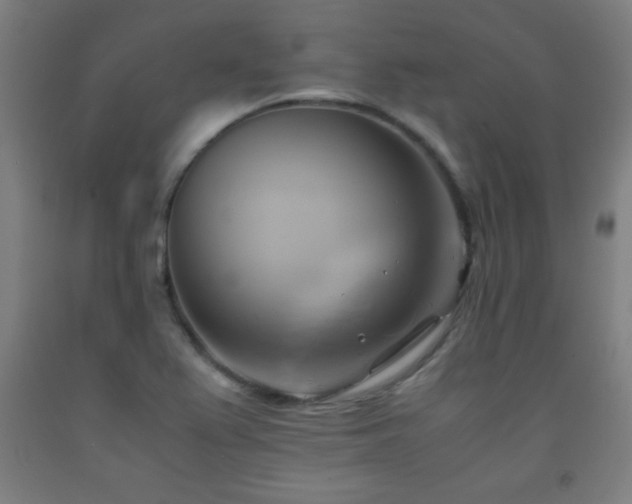X0000093241367200709261700