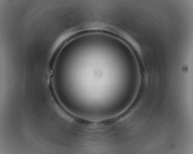 X0000093241368200709261700