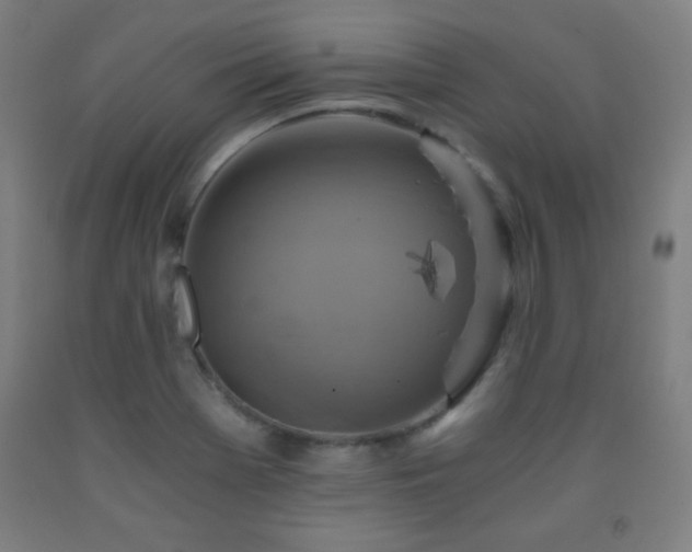 X0000093241369200709261700