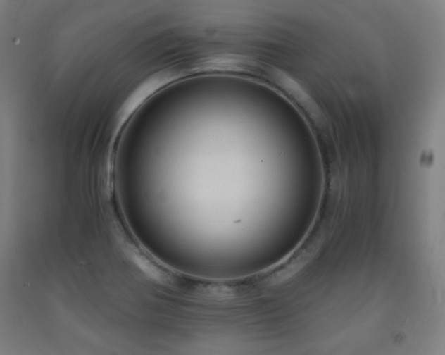 X0000093241370200709261700