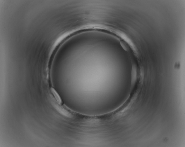 X0000093241372200709261700