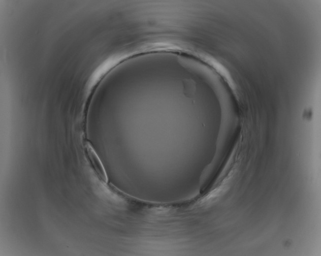 X0000093241373200709261700